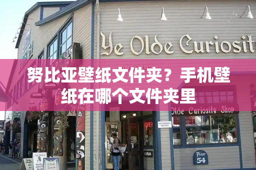 努比亚壁纸文件夹？手机壁纸在哪个文件夹里