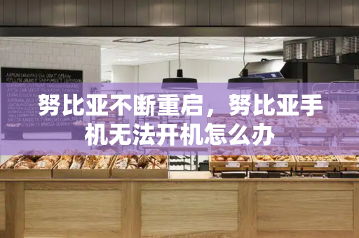 努比亚不断重启，努比亚手机无法开机怎么办-第1张图片-星选测评