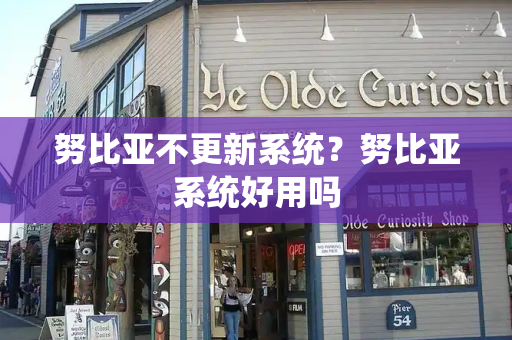努比亚不更新系统？努比亚系统好用吗