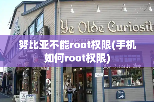 努比亚不能root权限(手机如何root权限)
