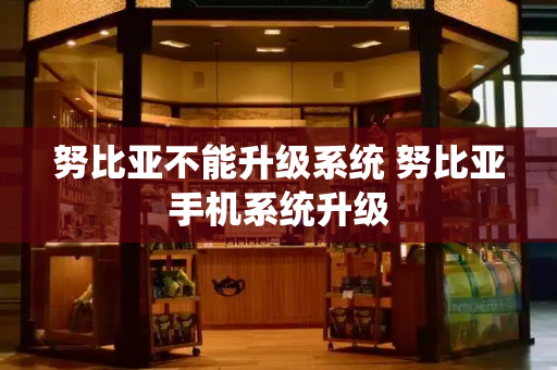 努比亚不能升级系统 努比亚手机系统升级-第1张图片-星选测评
