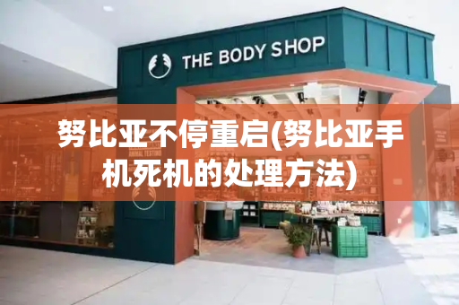 努比亚不停重启(努比亚手机死机的处理方法)-第1张图片-星选测评
