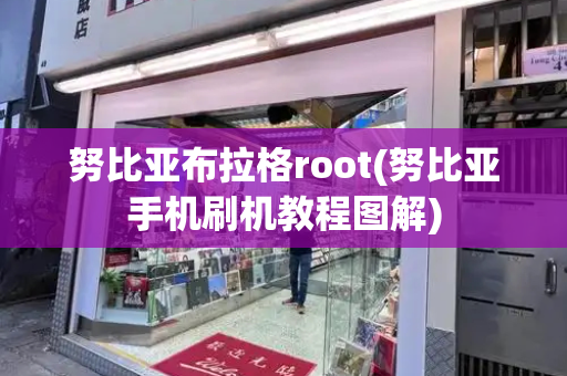 努比亚布拉格root(努比亚手机刷机教程图解)-第1张图片-星选测评