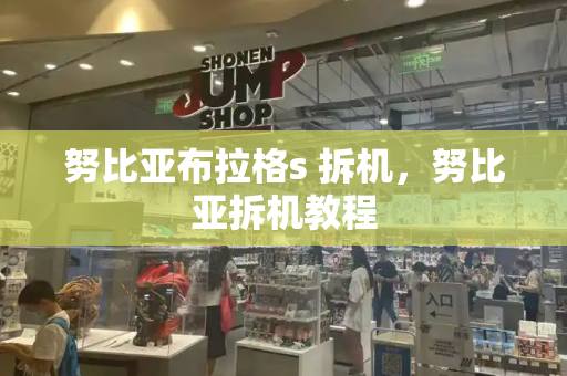 努比亚布拉格s 拆机，努比亚拆机教程