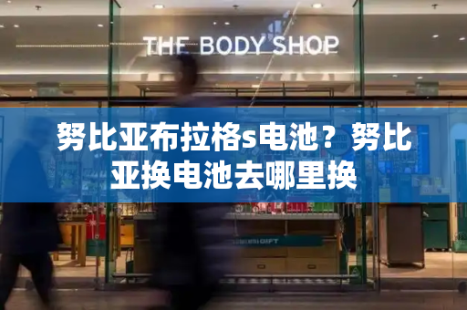 努比亚布拉格s电池？努比亚换电池去哪里换-第1张图片-星选测评
