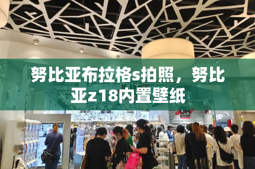 努比亚布拉格s拍照，努比亚z18内置壁纸-第1张图片-星选测评