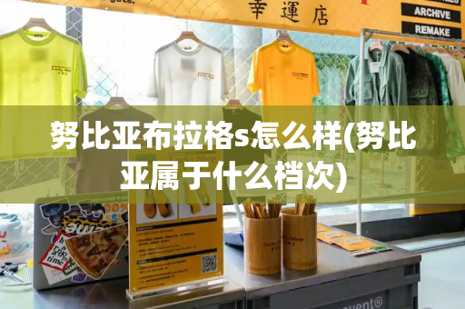 努比亚布拉格s怎么样(努比亚属于什么档次)-第1张图片-星选测评