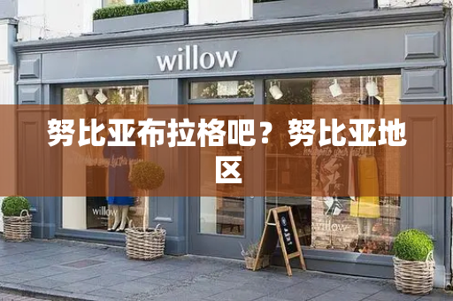 努比亚布拉格吧？努比亚地区-第1张图片-星选测评