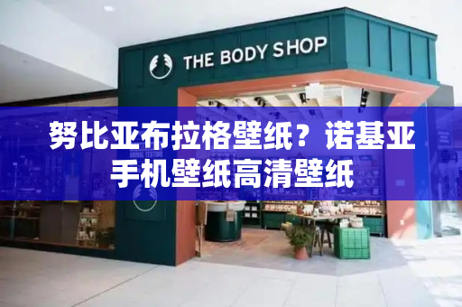 努比亚布拉格壁纸？诺基亚手机壁纸高清壁纸