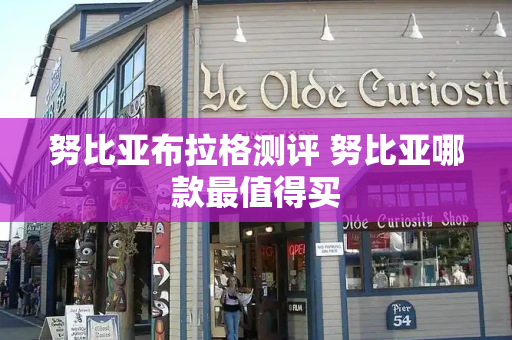 努比亚布拉格测评 努比亚哪款最值得买
