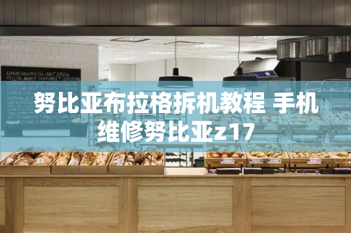 努比亚布拉格拆机教程 手机维修努比亚z17