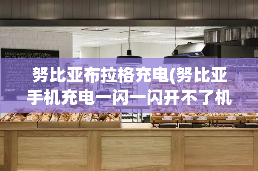 努比亚布拉格充电(努比亚手机充电一闪一闪开不了机)-第1张图片-星选测评