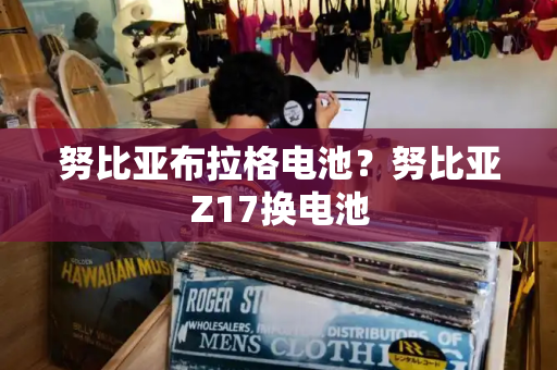 努比亚布拉格电池？努比亚Z17换电池-第1张图片-星选测评
