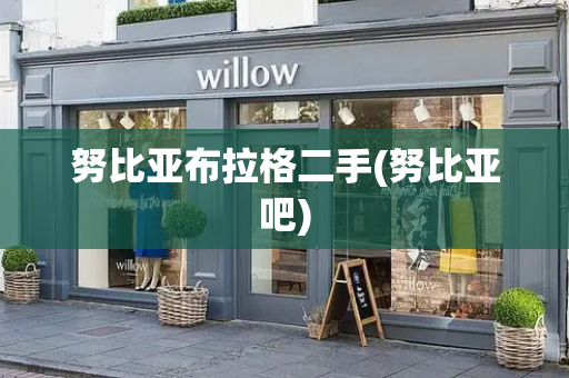 努比亚布拉格二手(努比亚吧)-第1张图片-星选测评