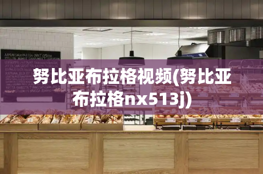 努比亚布拉格视频(努比亚布拉格nx513j)