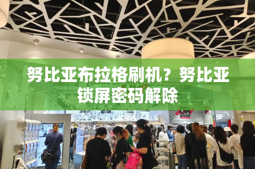 努比亚布拉格刷机？努比亚锁屏密码解除