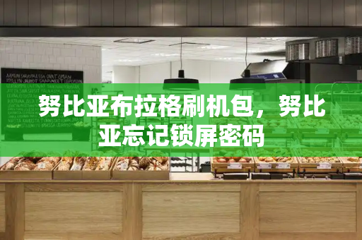 努比亚布拉格刷机包，努比亚忘记锁屏密码