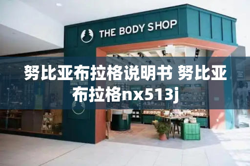 努比亚布拉格说明书 努比亚布拉格nx513j-第1张图片-星选测评