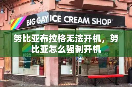 努比亚布拉格无法开机，努比亚怎么强制开机-第1张图片-星选测评