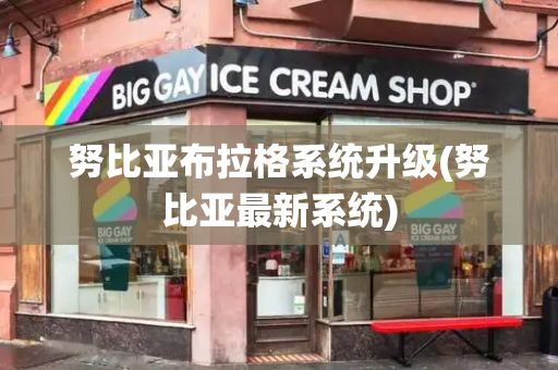 努比亚布拉格系统升级(努比亚最新系统)