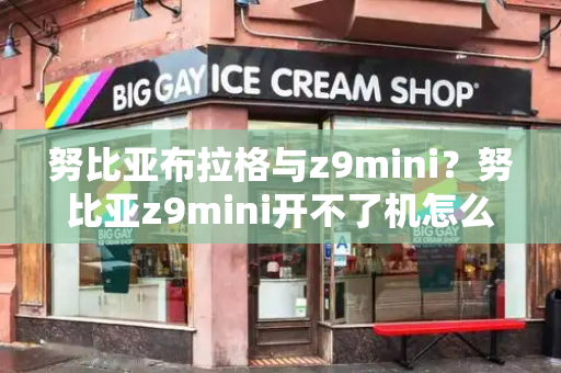 努比亚布拉格与z9mini？努比亚z9mini开不了机怎么办-第1张图片-星选测评