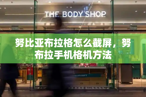 努比亚布拉格怎么截屏，努布拉手机格机方法-第1张图片-星选测评
