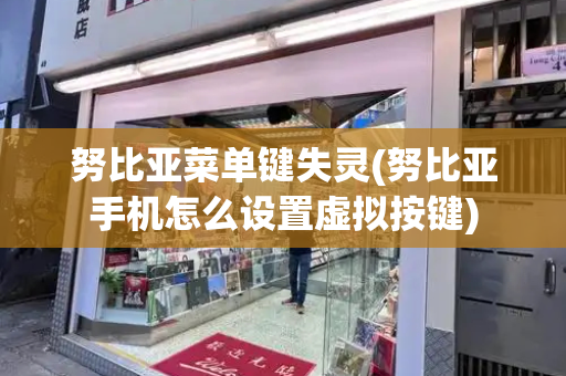 努比亚菜单键失灵(努比亚手机怎么设置虚拟按键)-第1张图片-星选测评