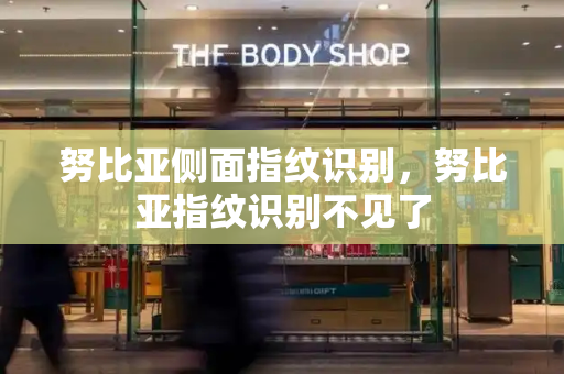 努比亚侧面指纹识别，努比亚指纹识别不见了