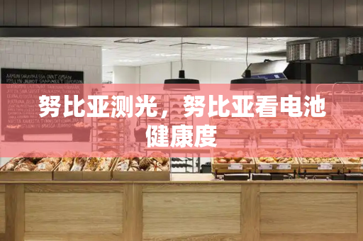 努比亚测光，努比亚看电池健康度