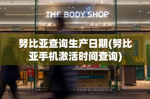 努比亚查询生产日期(努比亚手机激活时间查询)-第1张图片-星选测评