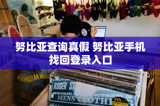 努比亚查询真假 努比亚手机找回登录入口