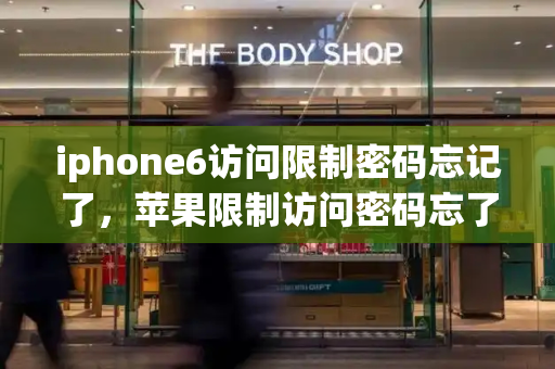 iphone6访问限制密码忘记了，苹果限制访问密码忘了怎么办-第1张图片-星选测评