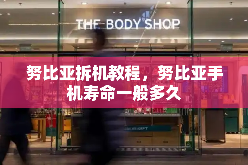 努比亚拆机教程，努比亚手机寿命一般多久-第1张图片-星选测评