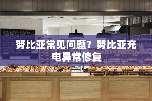 努比亚常见问题？努比亚充电异常修复-第1张图片-星选测评