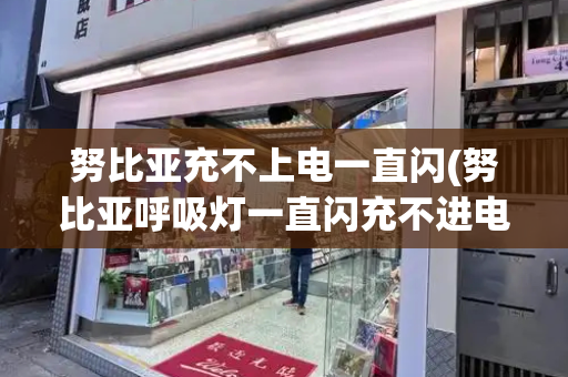 努比亚充不上电一直闪(努比亚呼吸灯一直闪充不进电)