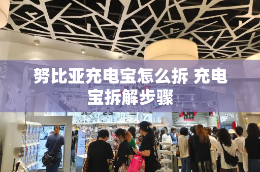 努比亚充电宝怎么拆 充电宝拆解步骤-第1张图片-星选测评