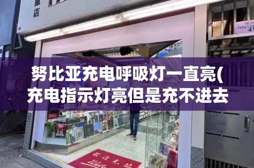 努比亚充电呼吸灯一直亮(充电指示灯亮但是充不进去电)