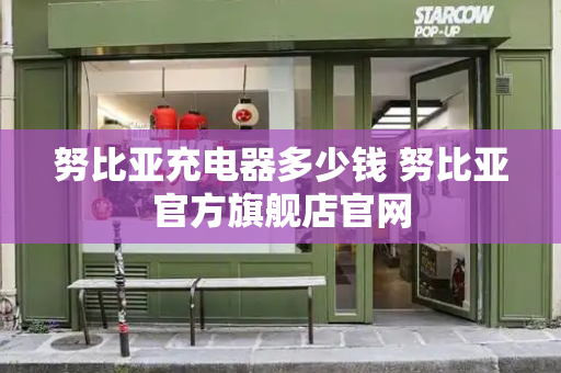 努比亚充电器多少钱 努比亚官方旗舰店官网