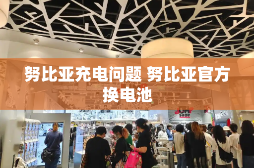 努比亚充电问题 努比亚官方换电池