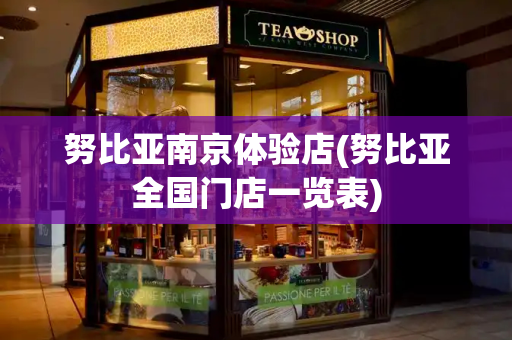 努比亚南京体验店(努比亚全国门店一览表)
