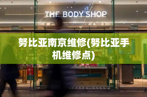 努比亚南京维修(努比亚手机维修点)-第1张图片-星选测评