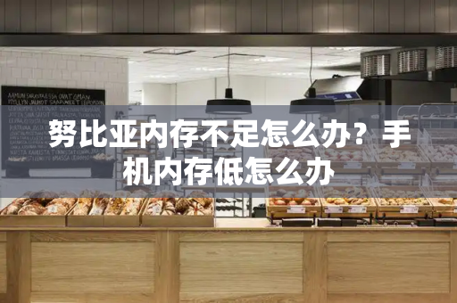 努比亚内存不足怎么办？手机内存低怎么办