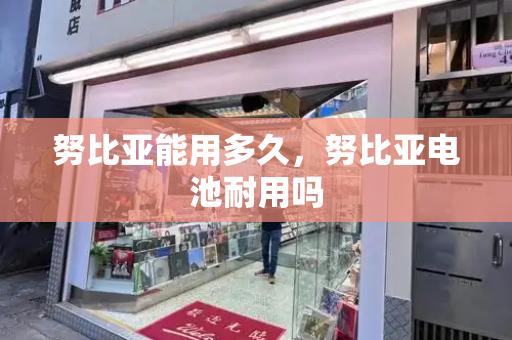 努比亚能用多久，努比亚电池耐用吗-第1张图片-星选测评