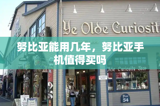 努比亚能用几年，努比亚手机值得买吗-第1张图片-星选测评