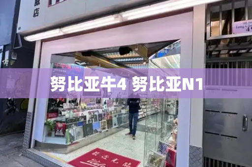 努比亚牛4 努比亚N1