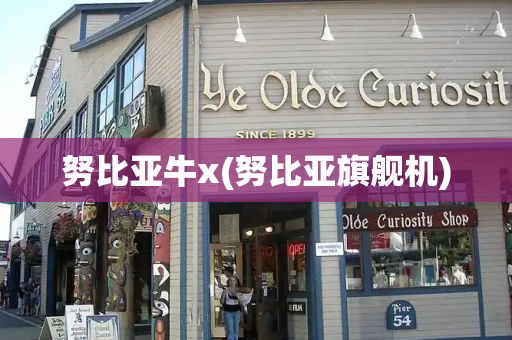 努比亚牛x(努比亚旗舰机)