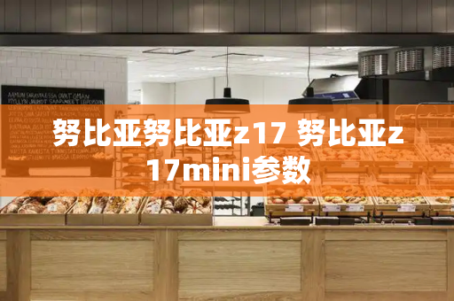 努比亚努比亚z17 努比亚z17mini参数