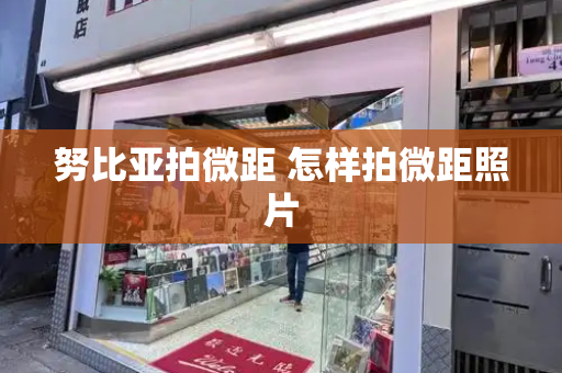 努比亚拍微距 怎样拍微距照片-第1张图片-星选测评
