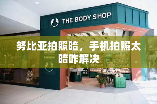 努比亚拍照暗，手机拍照太暗咋解决-第1张图片-星选测评