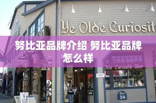 努比亚品牌介绍 努比亚品牌怎么样